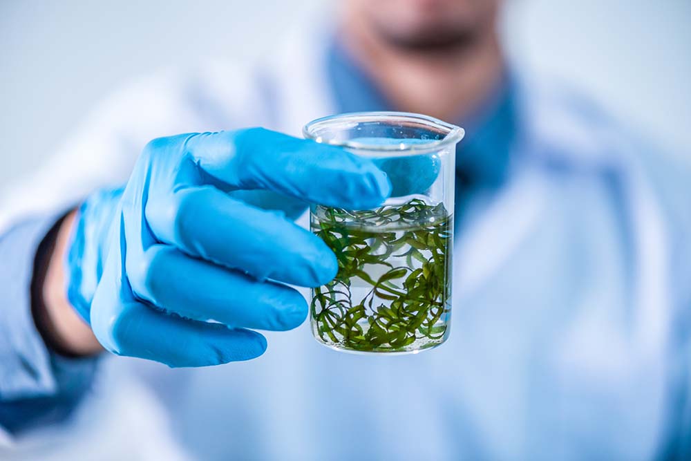 biomethanol-adst-276016721