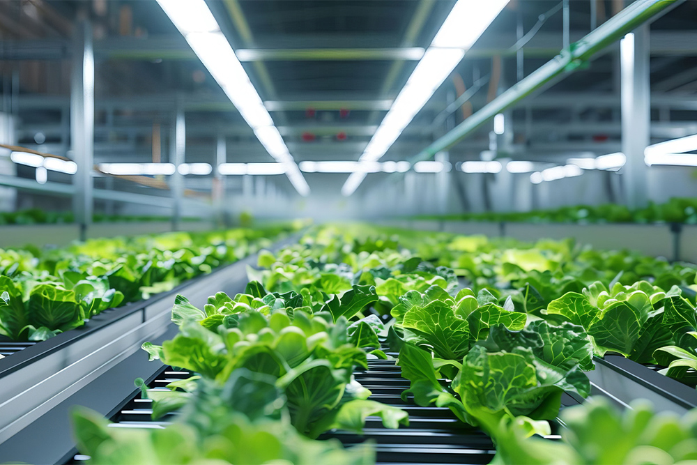 Automatisierte Versorgung kritischer Prozesse