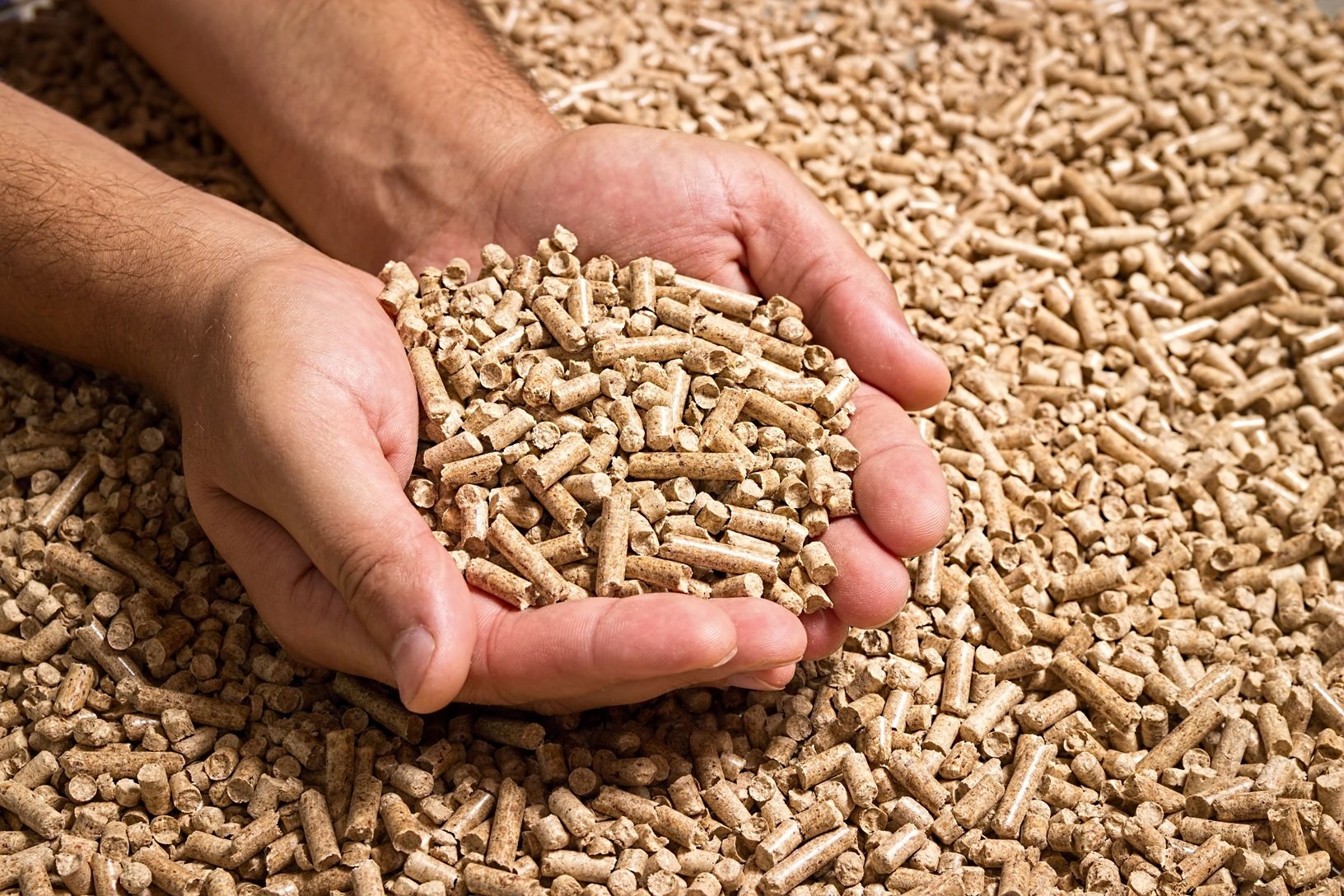 Pellets aus nachwachsenden Rohstoffen
