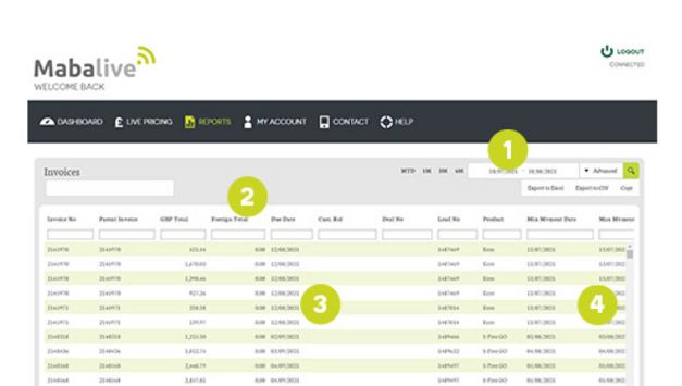 invoice_reporting-MabaLive