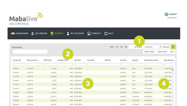 invoice_reporting-Mabalive